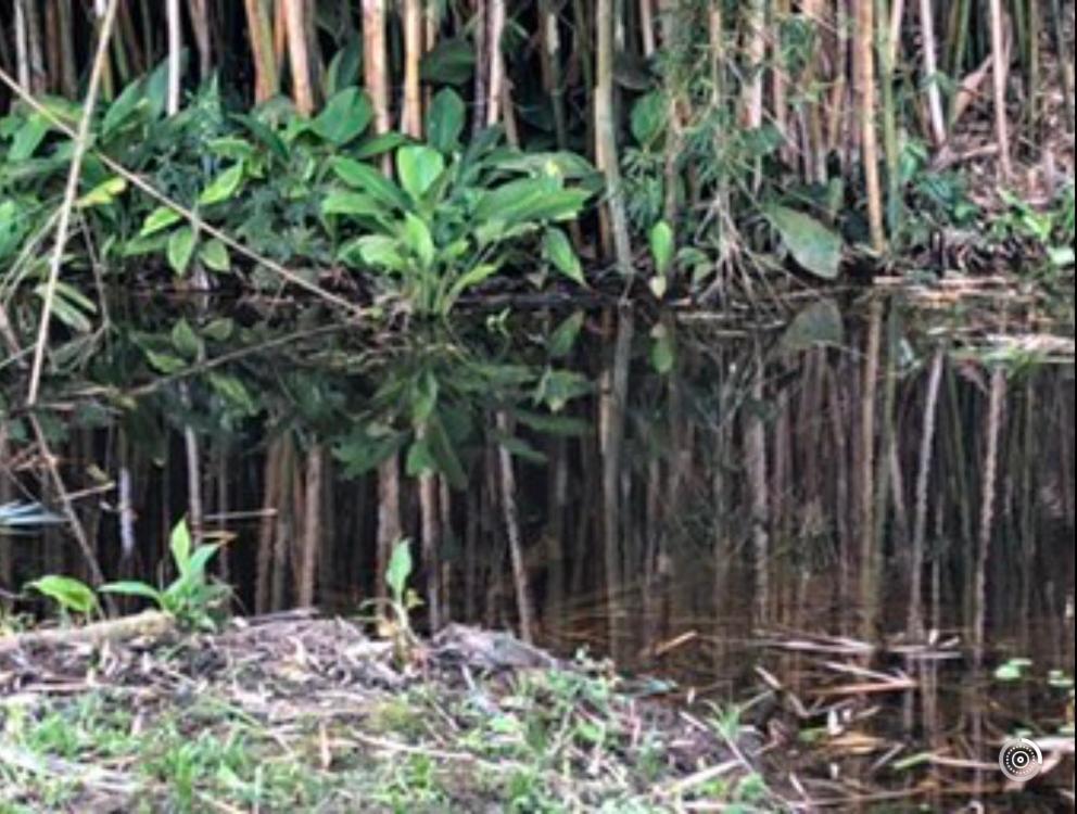Vivenda Dos Guaranys -Um Projeto Ecologico - Casa Βίλα Conservatória Εξωτερικό φωτογραφία