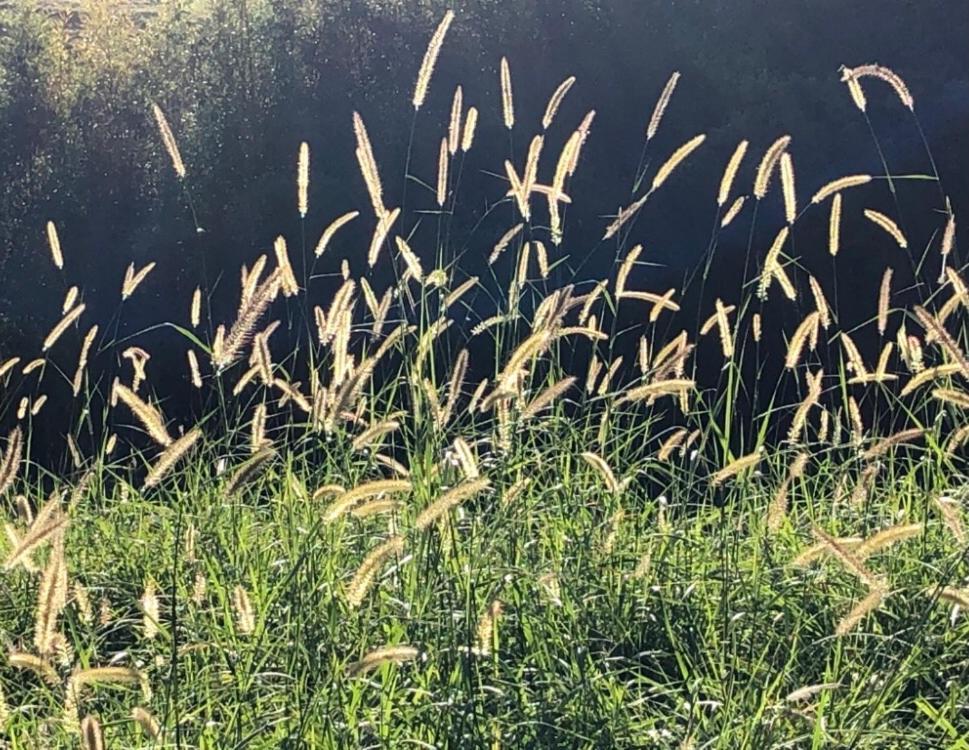 Vivenda Dos Guaranys -Um Projeto Ecologico - Casa Βίλα Conservatória Εξωτερικό φωτογραφία