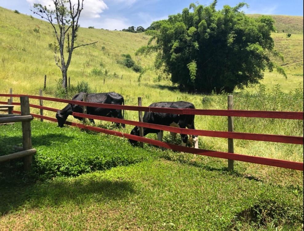 Vivenda Dos Guaranys -Um Projeto Ecologico - Casa Βίλα Conservatória Εξωτερικό φωτογραφία