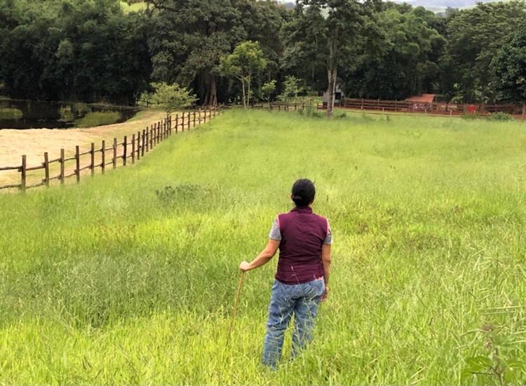 Vivenda Dos Guaranys -Um Projeto Ecologico - Casa Βίλα Conservatória Εξωτερικό φωτογραφία